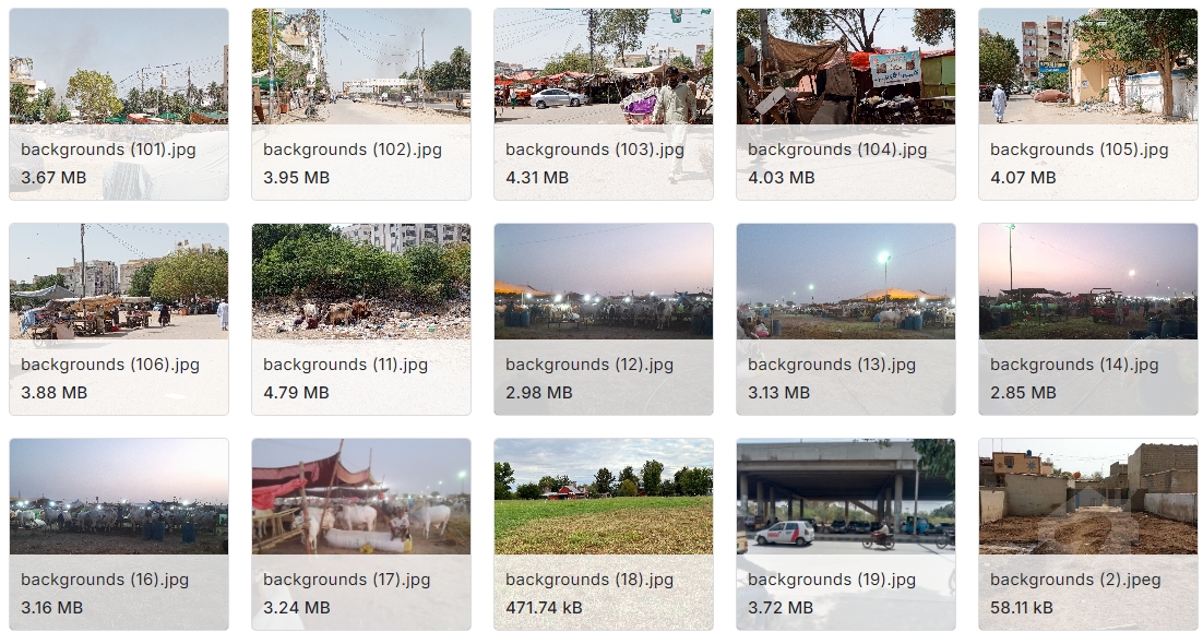 奶牛姿势图像数据集