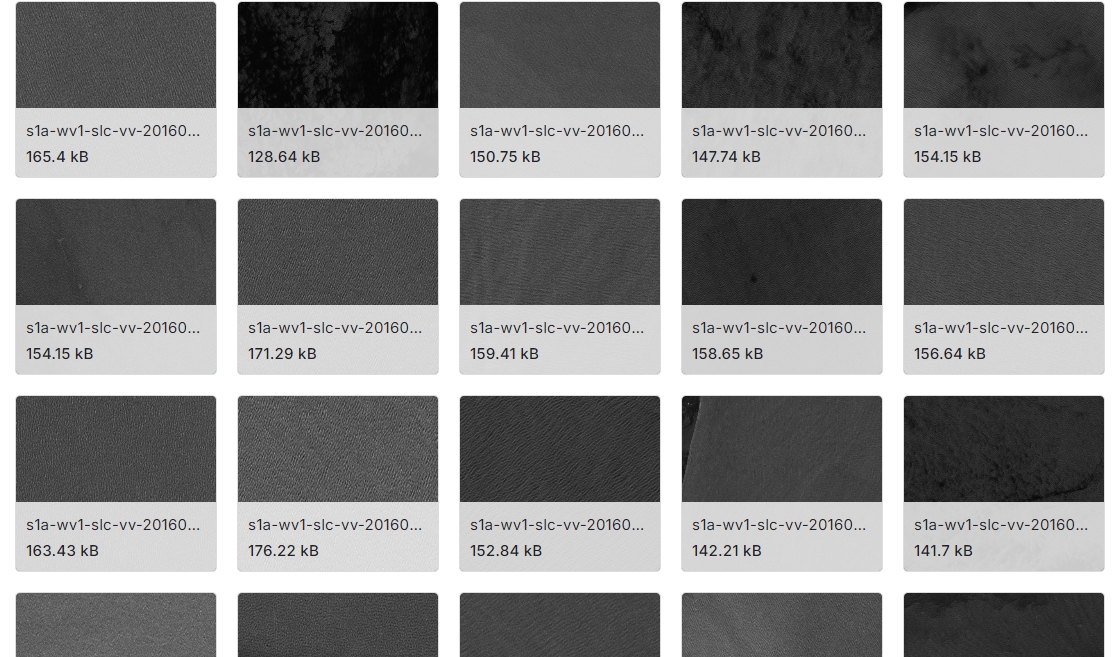 哨兵1号卫星获取的合成孔径雷达观测数据集