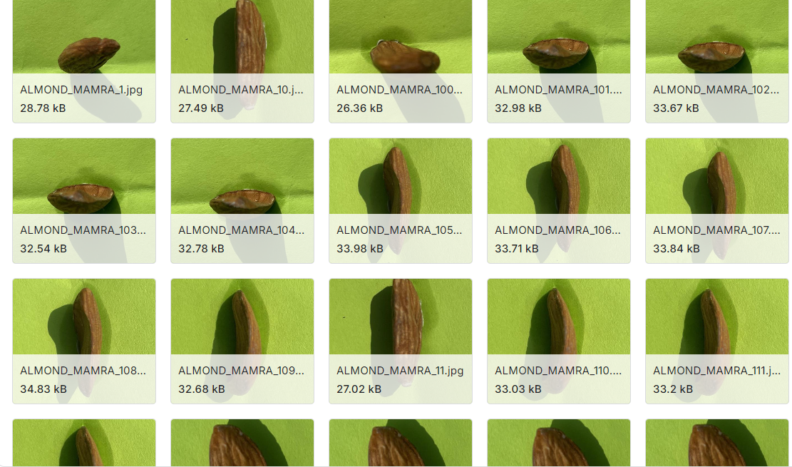 干果图像数据集