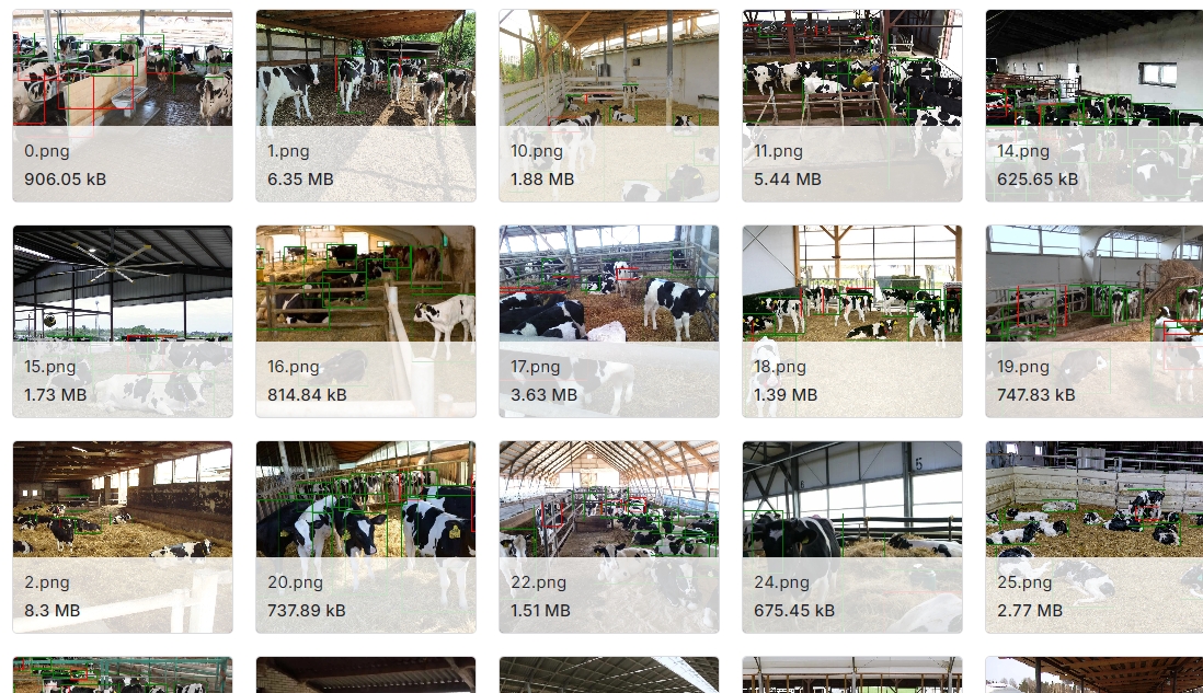 奶牛目标检测图像数据集