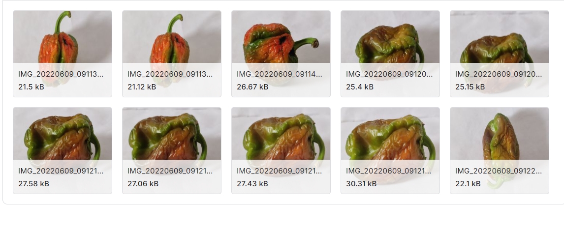 蔬菜图像数据集(未熟，熟，老，干和损坏)