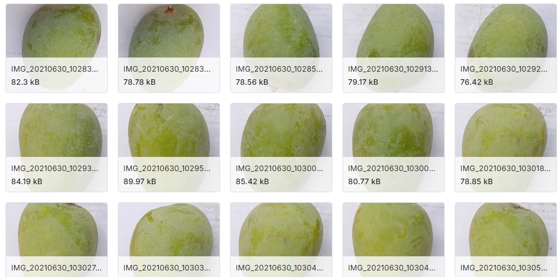 芒果品种及分级图像数据集