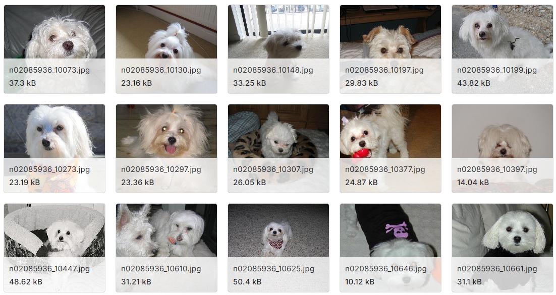 犬种分类图像数据集