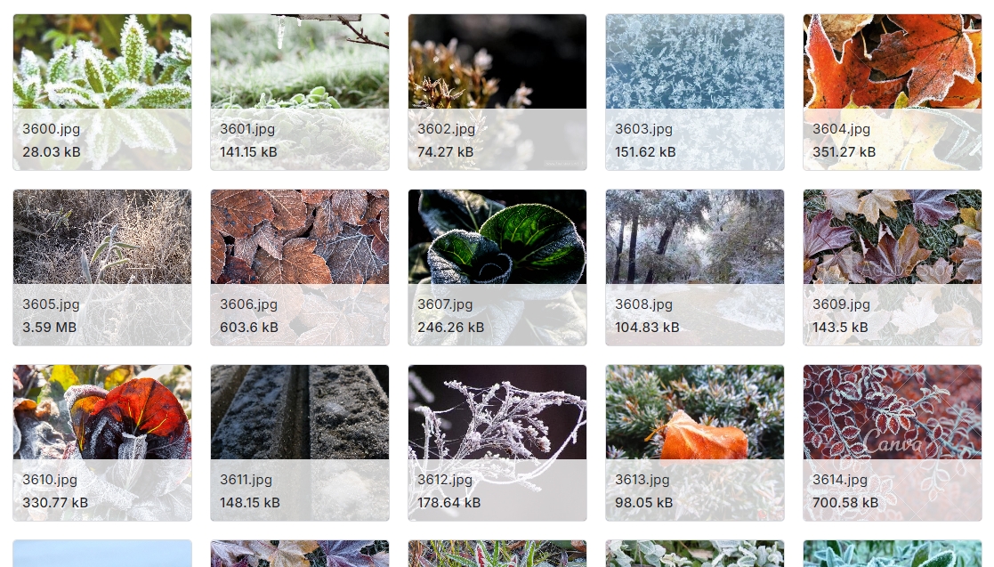 天气图像识别数据集