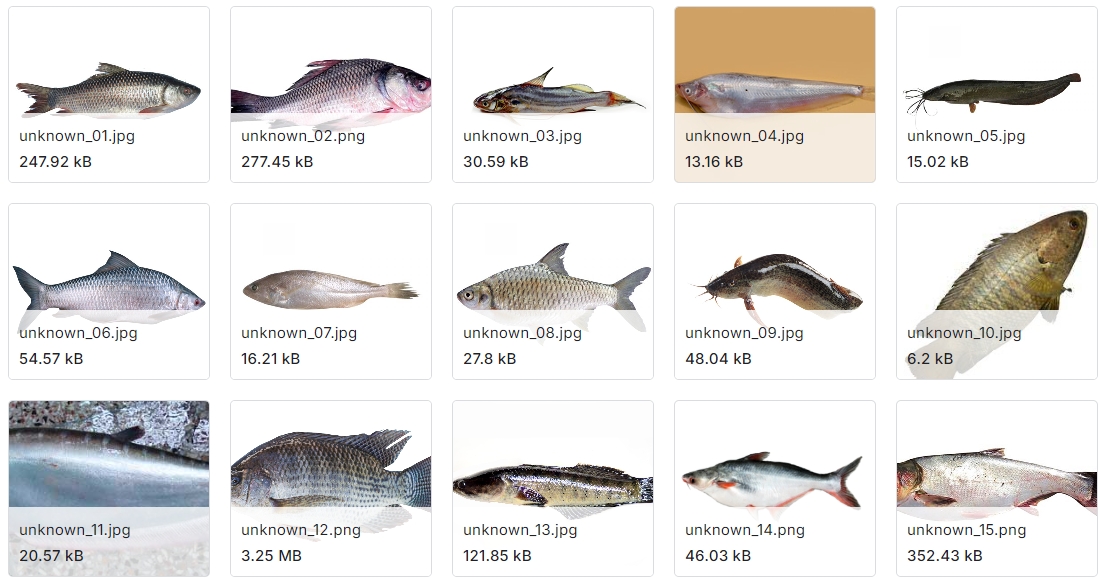 鱼类图像识别数据集