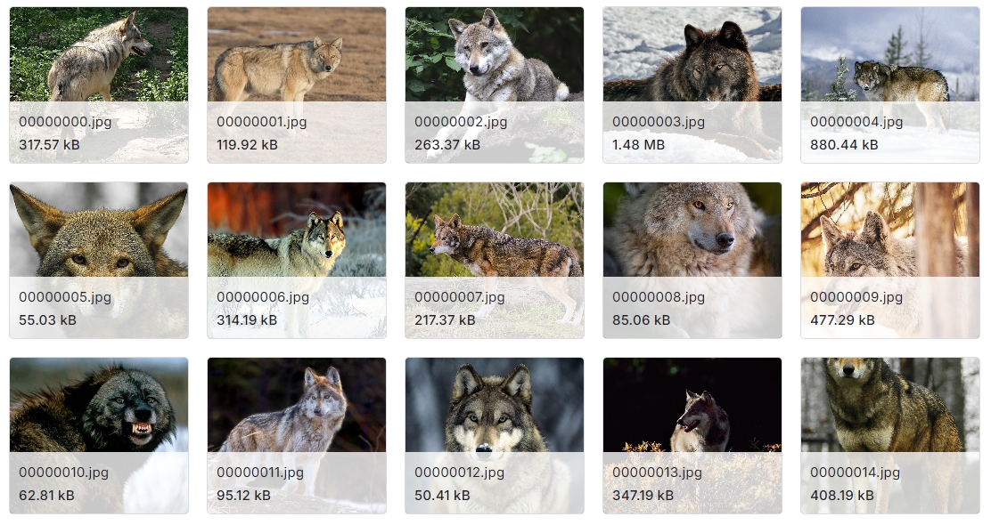 动物(哺乳动物)分类图像数据集