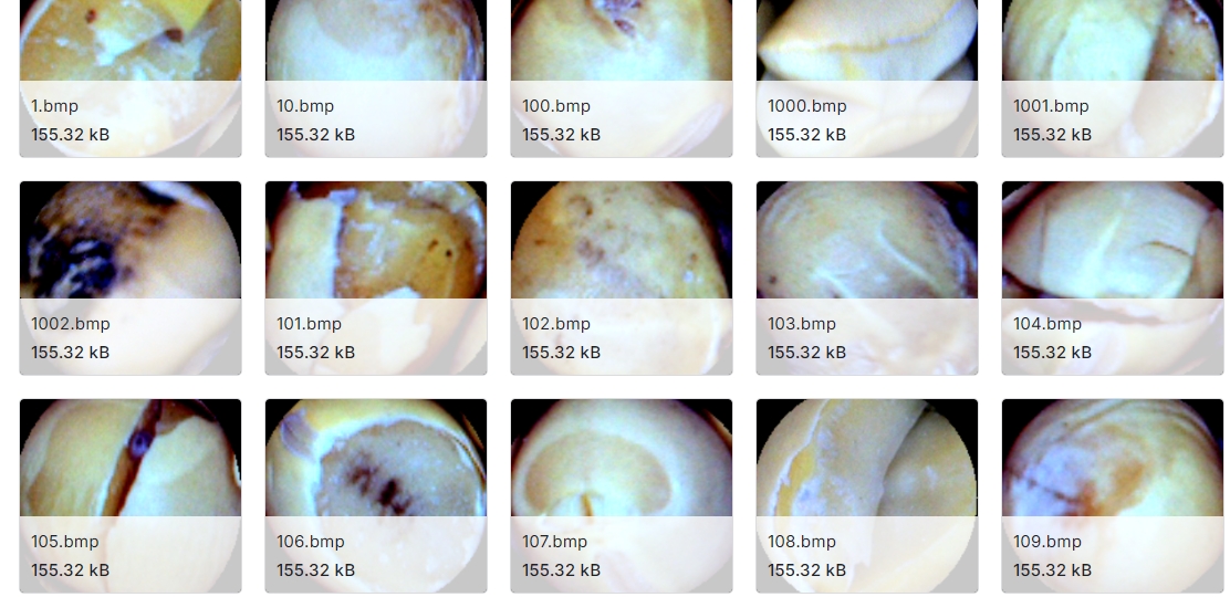 豆类分类图像数据集
