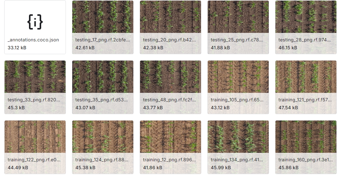 基于CNN的玉米作物线图像检测数据集