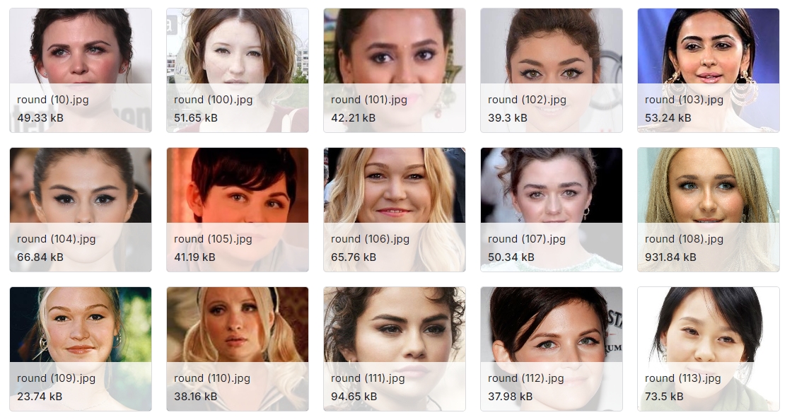 大量的面部图像数据集