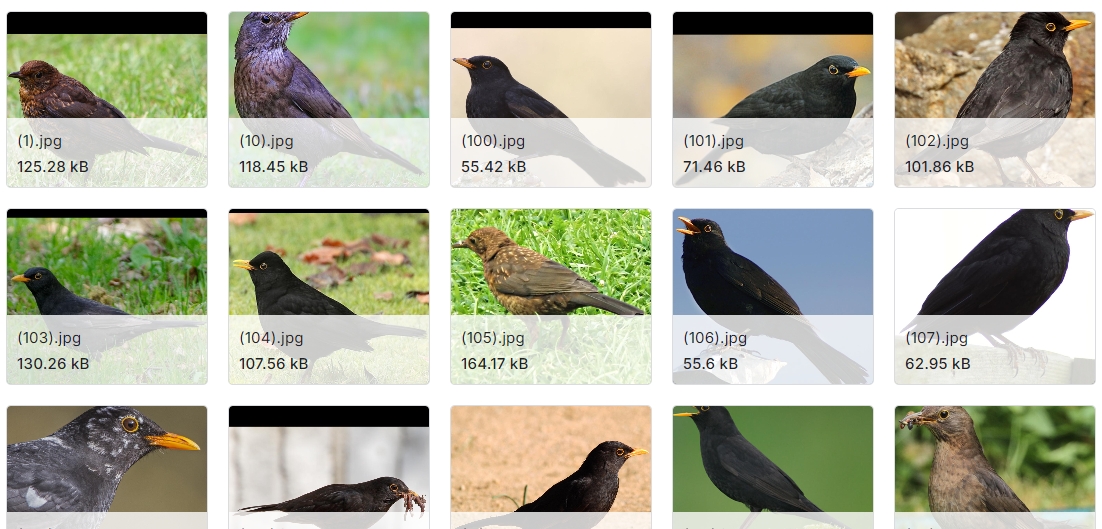 英国20种花园鸟类的图像数据集