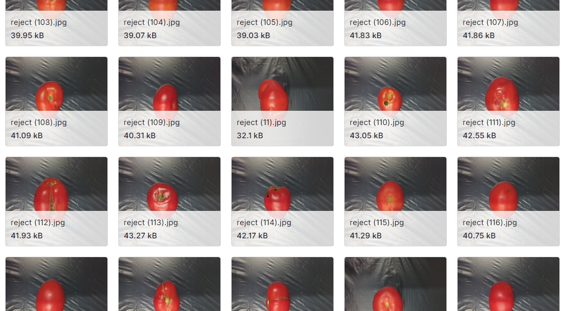 用于二元和多类分类的番茄果实数据集