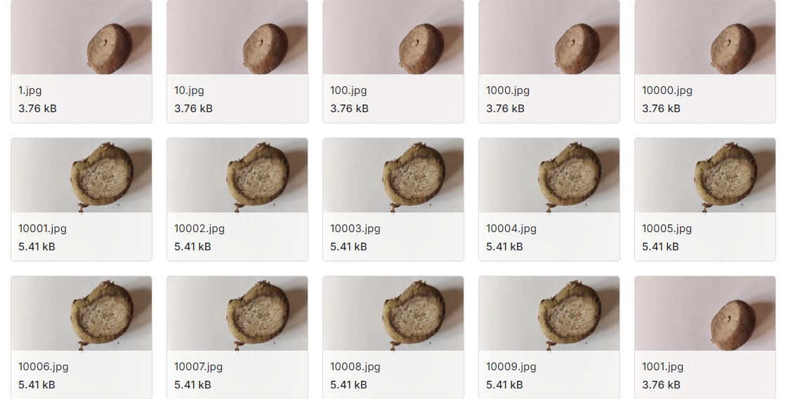 马铃薯作物疾病和健康图像数据集