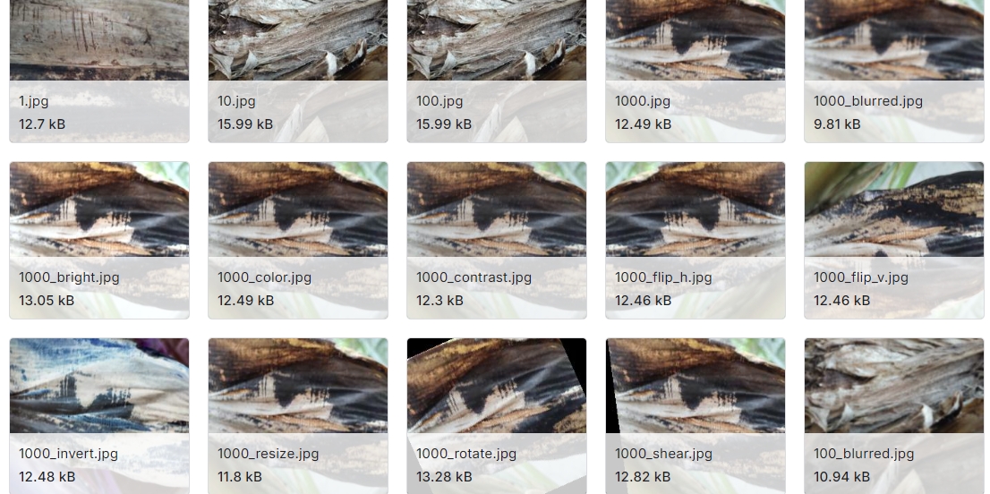 香蕉树疾病检测图像数据集