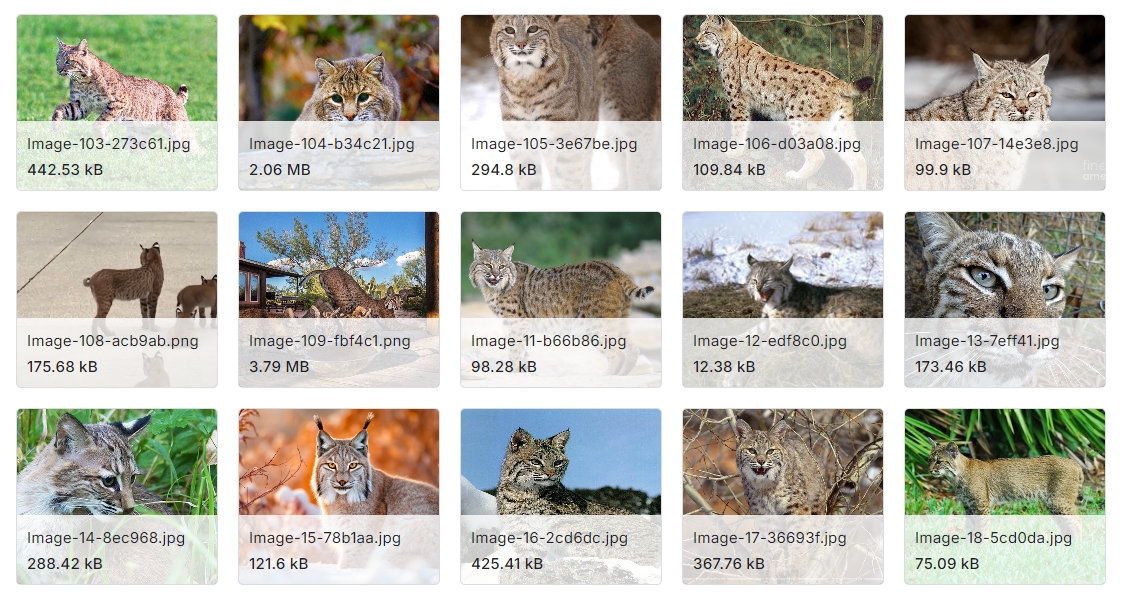 9种常见于后院家禽养殖场的不同捕食者图像数据集