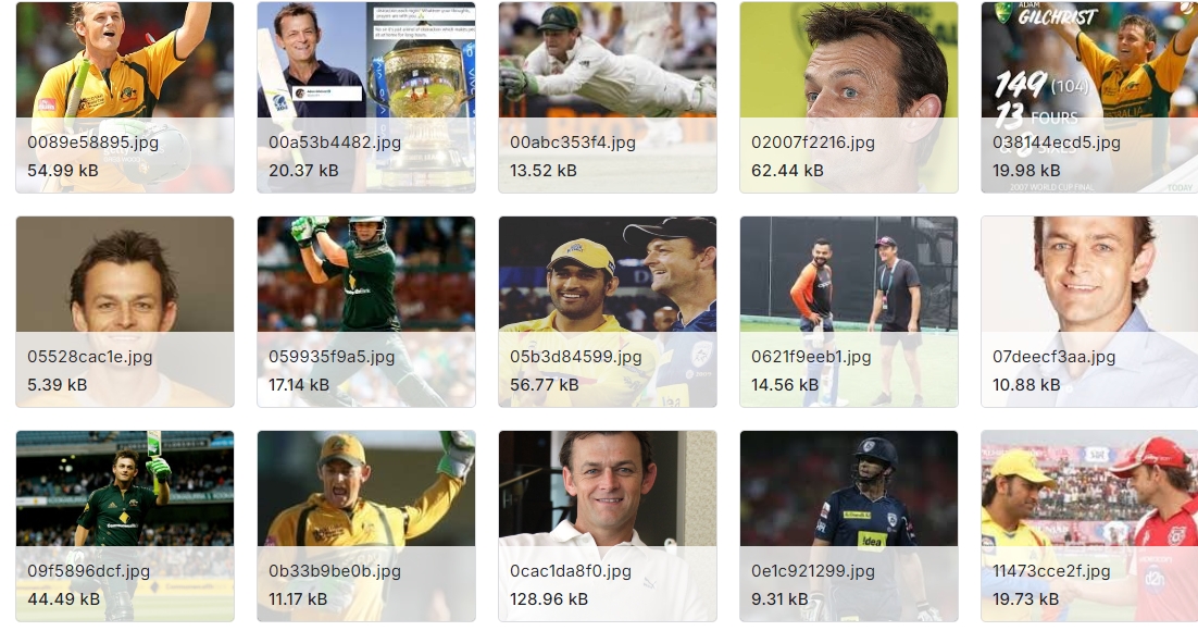 30位最伟大的板球运动员图像集合数据集