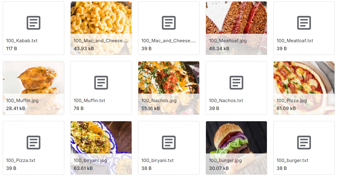 基于20种不同垃圾食品的图像增强数据集