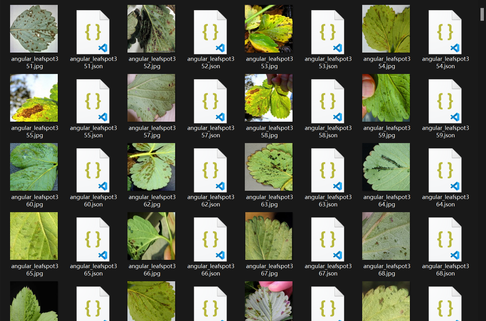 2500张草莓疾病检测图像数据集