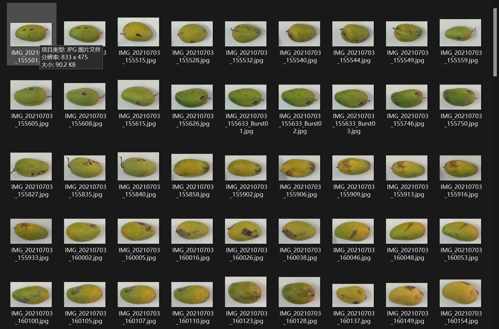 巴基斯坦芒果品种分类和分级图像数据集