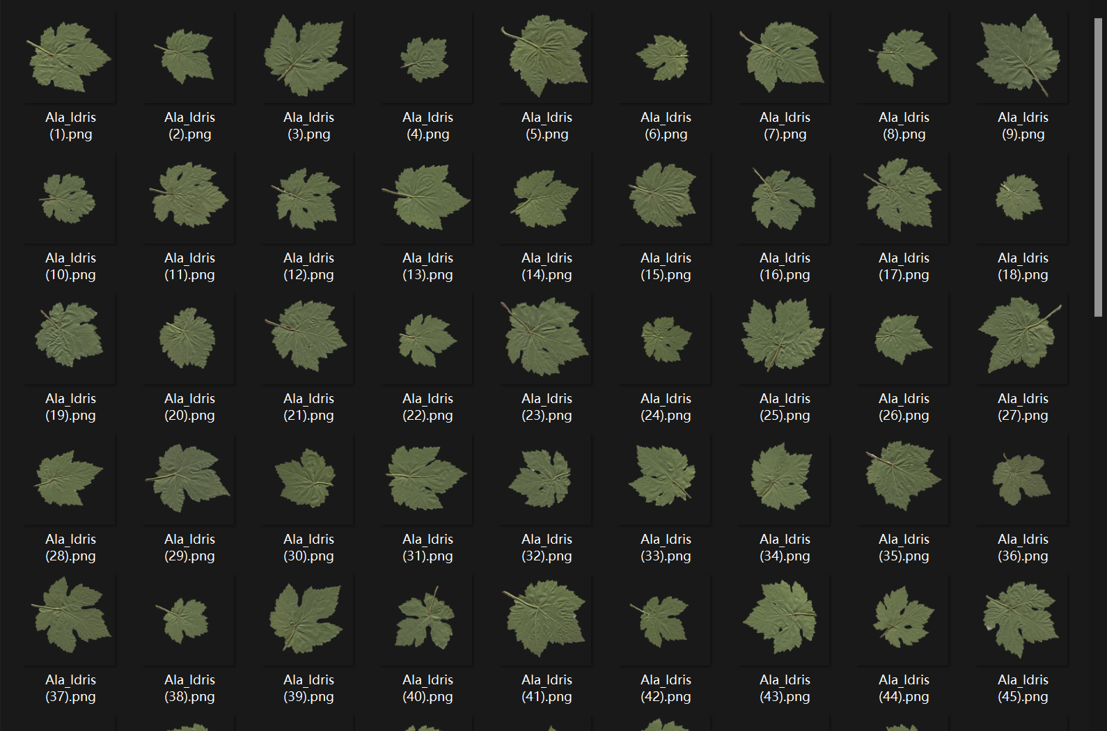 葡萄叶片分类图像数据集