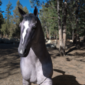 马与人类图像数据集