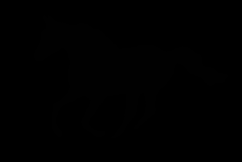 魏茨曼马匹数据库