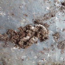 鸡病害图像数据集