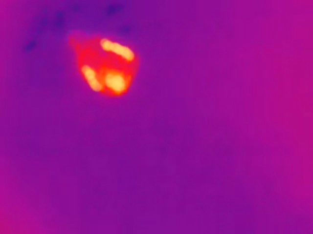 鸡健康图像RGB热成像数据集