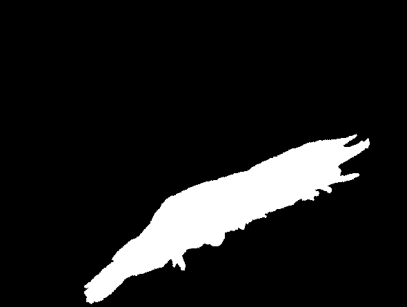 大规模鱼类图像数据集