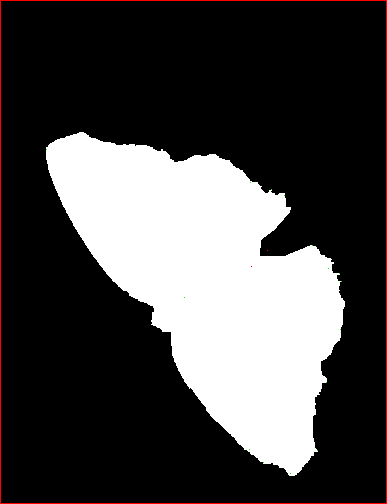 蝴蝶图像数据集