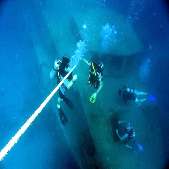 水下8类生物标注数据集