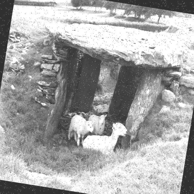 农场牲畜数据集2